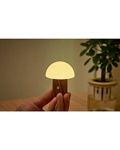 Gingko Alice Mushroom Lamp Walnut Super Mini